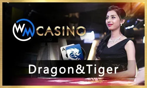 KM88 Online Casino Sports Betting